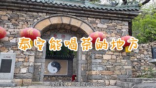 泰安免费景点三阳观，既能喝茶也能野餐，真是被容易忽略的景点