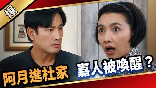 《八點檔搶先爆》愛的榮耀 EP216 阿月進杜家 嘉人被喚醒？