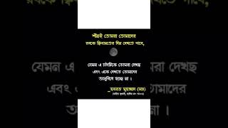 শিগগিরই তুমি তোমার রব কে দেখতে পাবে কিয়ামতের দিন