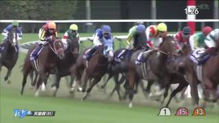 天皇賞(秋)2016(2000m)THE TENNO SHO(AUTUMN)2016