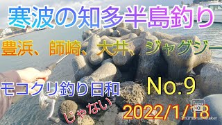 【愛知県釣り】(9)寒波襲来でも知多半島に釣りに行ってみた