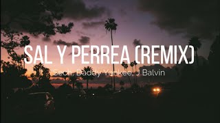 Sech & Daddy Yankee & J Balvin - Sal Y Perrea (Remix) (Letra - Lyric's) | Music World & lyric's