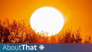What does crossing 1.5 C of warming mean? | About That