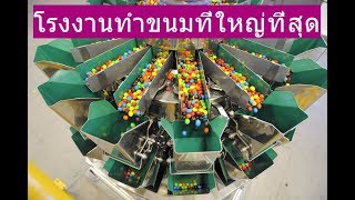 สารคดี โรงงานทำขนมที่ใหญ่ที่สุด