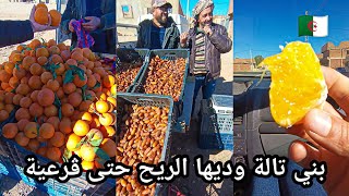 وطني سفيزف واهلي بني تالة وديها الريح حتى ڨرعية