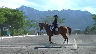 第53回関東学生賞典馬場馬術競技　ジェントリーラック　近藤舞宝