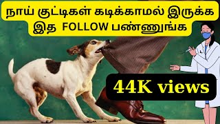 நாய் குட்டிகள் கடிக்காமல் இருக்க டாக்டர் சொல்லும் டிப்ஸ் | Doctor's tips to avoid puppy bite