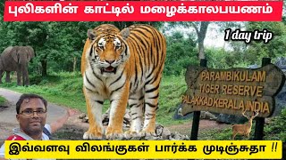 🐅🐅புலிகளின் காட்டுக்குள்ளே ஒரு நாள் பயணம், Topslip, Parambikulam Tiger Reserve, Tamilnadu, Kerala