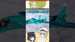 なぜSu-34は2人乗りコックピットが並列配置なんだろう？ #ミリタリー