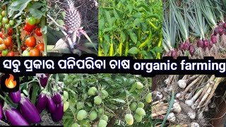 କମ୍ ଜାଗା ରେ ସବୁ ପ୍ରକାର ପନିପରିବା ଚାଷ କିପରି କରିବା🔥|| our farmhouse garden 🏡#villagelifefarming