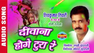 DIWANA HOGE TURA RE - दीवाना होगे टूरा रे - CG Song - Shivkumar Tiwari - D.J. Remix