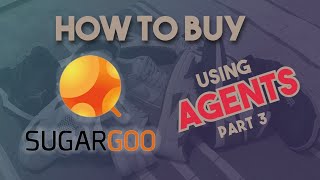 CUSTOM Orders (1688, Yupoo) and INSURANCE | How to use an AGENT Part 3