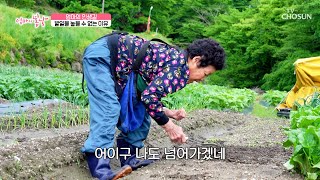 자나 깨나 일 생각뿐인 엄마의 하루하루 바쁜 일상💦 TV CHOSUN 240602 방송 | [엄마의 봄날] 455회 | TV조선