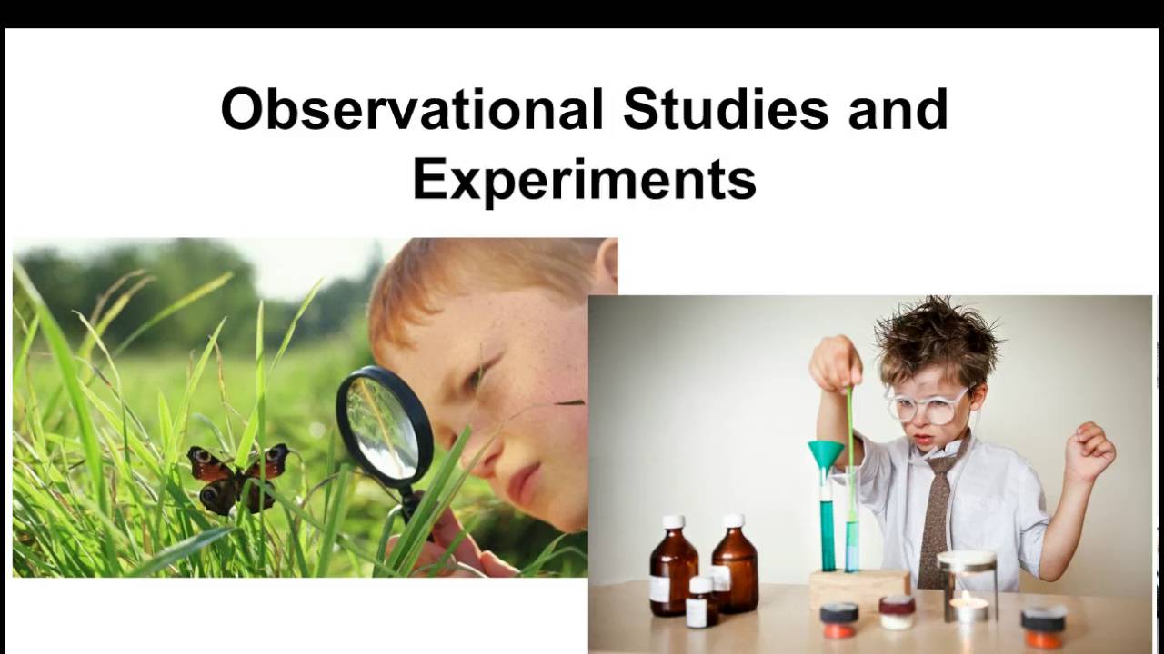 Scientific Observation And Experimentation Islam