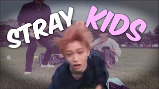 Unexplainable Stray Kids Moments That Made ME Question Reality