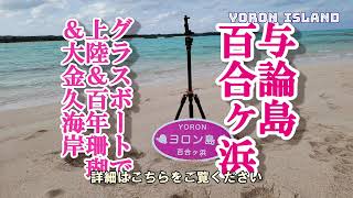 【沖縄　与論島２日目】幻の砂浜！百合ヶ浜　#与論島　#百合ヶ浜　#グラスボート　#百年サンゴ　#大金久海岸　#ウインドサーフィン　#ダンディマリン　#脳珊瑚　#三沢あけみ