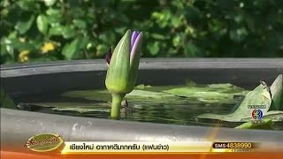 ทำเนียบตั้งอ่างบัว ปรับภูมิทัศน์-เสริมสิริมงคลใหม่