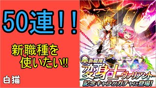 【白猫プロジェクト】キャラガチャ50連!! 変身士ヴァリアント記念キャラを狙って引きます！