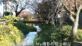 『京阪軌道線』Ｍｙ撮影の庭 【２６】 柳川／ 【２７】 近江神宮