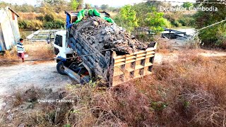 Starting New Project Landfill With Komatsu D31P Bulldozer Pushing Dirt And 5Ton Truck Unloading Dirt