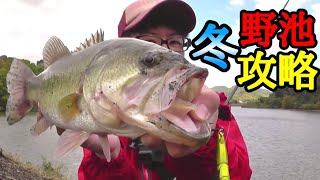 【冬のバス釣り】12月初旬は巻きまくれば釣れる説