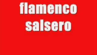 flamenco salsero remix 2009