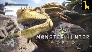 【モンスターハンター：ワールド】ドスジャグラス　大剣ソロ　初級　ベータテスト版　MONSTER HUNTER WORLD MHW