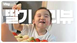 ep24 딸기러버 야루의 전문 리뷰 | #딸기 #킹스베리 #흰딸기 #설향 #금실