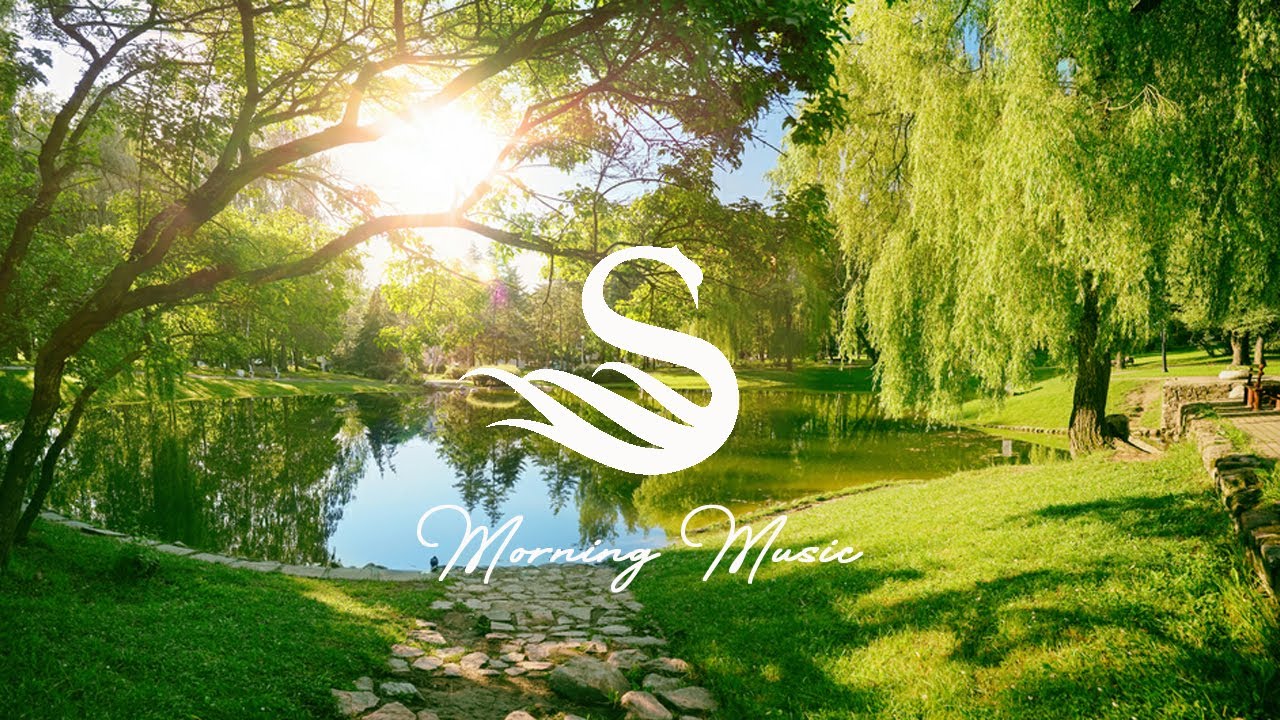 Guitar Morning Music Positive Energy And Stress Relief Guitar Music