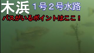 【琵琶湖バス釣り　水中映像】木浜1号、2号水路で水中撮影してきた（バス釣り　琵琶湖　水中動画）。バスの群れを発見。水中映像に映ってます。バス釣り行く前に要確認！