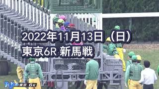 2022年11月13日（日）東京6R 2歳新馬レース映像