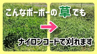 【草刈り】こんなボーボーの草でもナイロンコードで刈れます