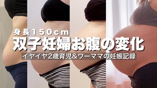 【低身長】双子妊娠から下から出産まで♡妊娠線ナシ！1ヶ月で-10kg😱家族で力を合わせて頑張った奮闘記録【Twins Pregnancy Transformation】#りとるTWINもんすたーず