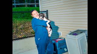 Animals shelters are overflowing with pets waiting for new homes