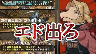 【パズドラ】いきなり魔法石100個もらったので鋼の錬金術師コラボガチャ回します【ログイン勢】