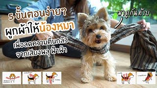 เฮฮากับชาลี : วิธีผูกผ้าเพื่อลดความตื่นกลัวให้น้องหมา