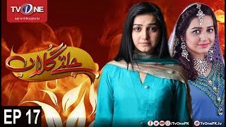 Jaltay Gulab | Episode 17 | TV One Drama | 26th November 2017