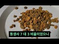 🌱적옥토 녹소토 난석 일본 분갈이흙 종류 총 정리 고급 분갈이용토 추천 식린이 졸업반 필수 시청