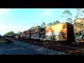 csx long mixed cargo freight train