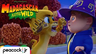 Fangtastic Halloween Trailer | MADAGASCAR A LITTLE WILD