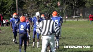 AYF - Detroit Westside Cubs vs Motor City Bisons 2011