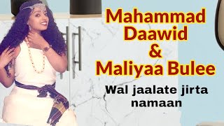 Wal jaalate jirta namaan - Mahammad Daawid \u0026 Maliyaa Bulee | Lovely Old Oromo Music |