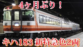 【新特急色】4ヶ月ぶりに2両連結で運行！ JR北海道 キハ183 特急オホーツク号