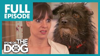Dog Turns Owner's Bedroom into his Bathroom | Full Episode USA | It's Me or The Dog