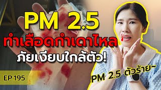 PM 2.5 ทำให้เลือดกำเดาไหล ปัญหาสุขภาพที่ไม่ควรมองข้าม | หมอยามาตอบ EP. 195