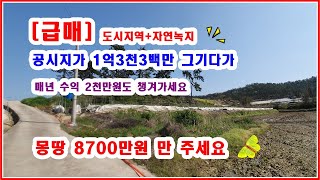 [급매] 공시지가 1억3천3백  매매가 8700만 그기다기 년 2천만원의 수익까지오를수 밖에 없는 위치의 땅 대박물건