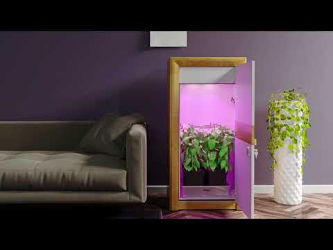 urban Chili Growbox Komplettset 2018 .net urban Chili Growbox Komplettset 2018 .net