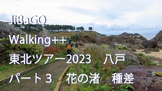 東北ツアー2023秋　八戸編パート３　花の渚