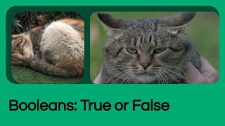 JavaScript Data Types Explained by a Cat