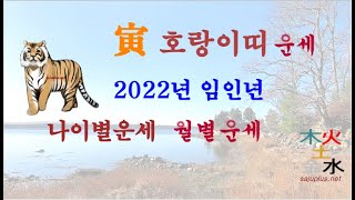 2022년 호랑이띠 - 2022년 임인년 호랑이띠 띠별 월별 사주 운세